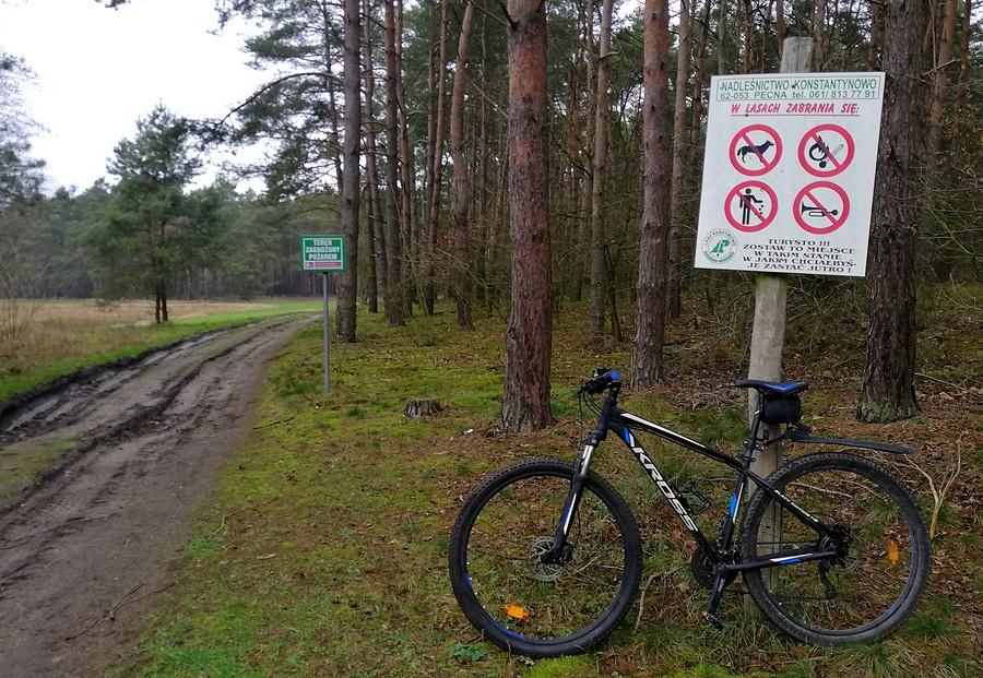 Dobrze, że oddychać jeszcze w lesie można - okolice Będlewa