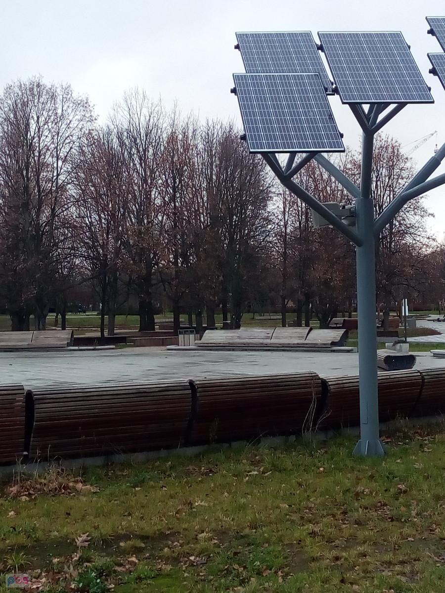 W parku Szymańskiego