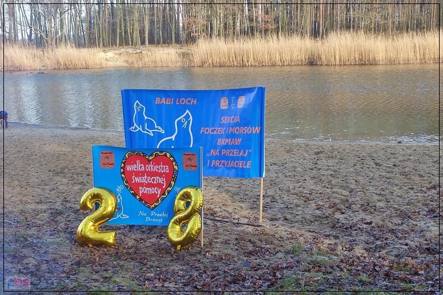 Brzeskie foczki i morsy wspierają 28. Finał WOŚP