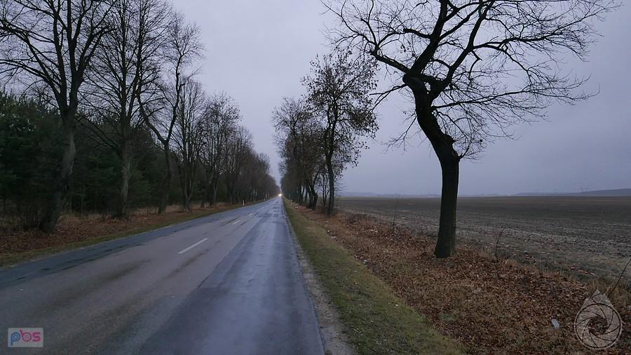 proste na Działoszyn