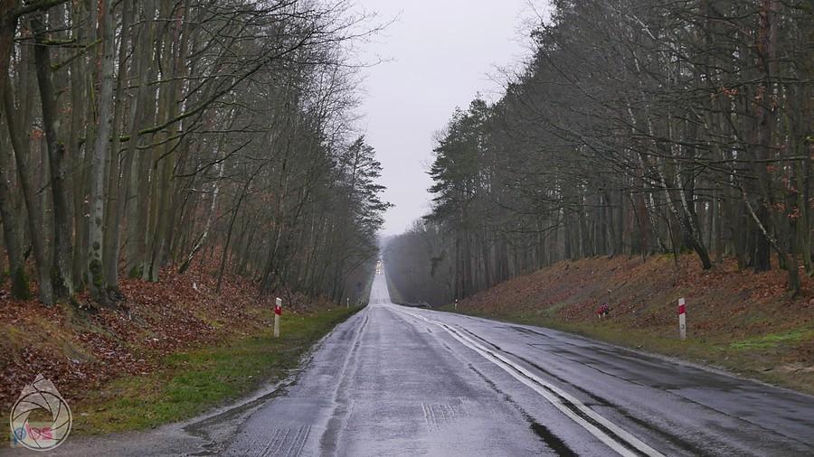 pofalowane drogi Wyżyny Wieluńskiej