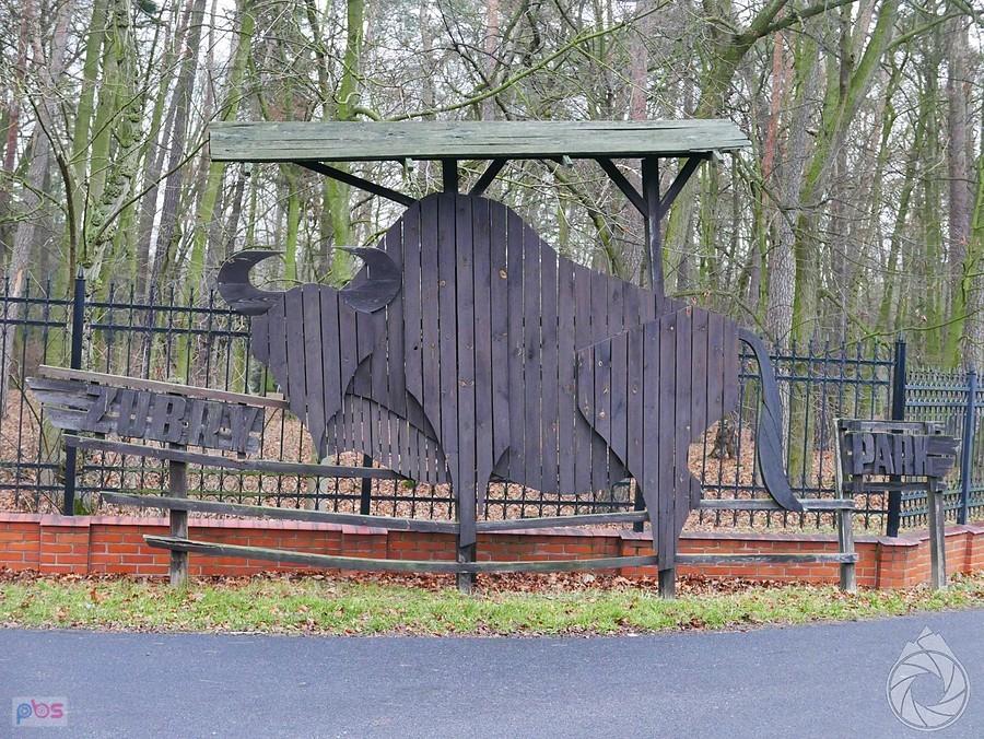 drogowskazy zachęcają mnie dozobaczenia żuberów