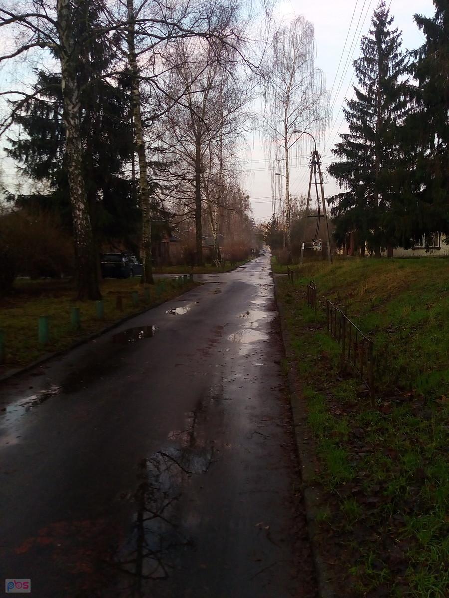 Po nocnym deszczu