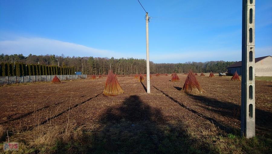 Materiał do produkcji m.in. koszyków, lub bujanych foteli