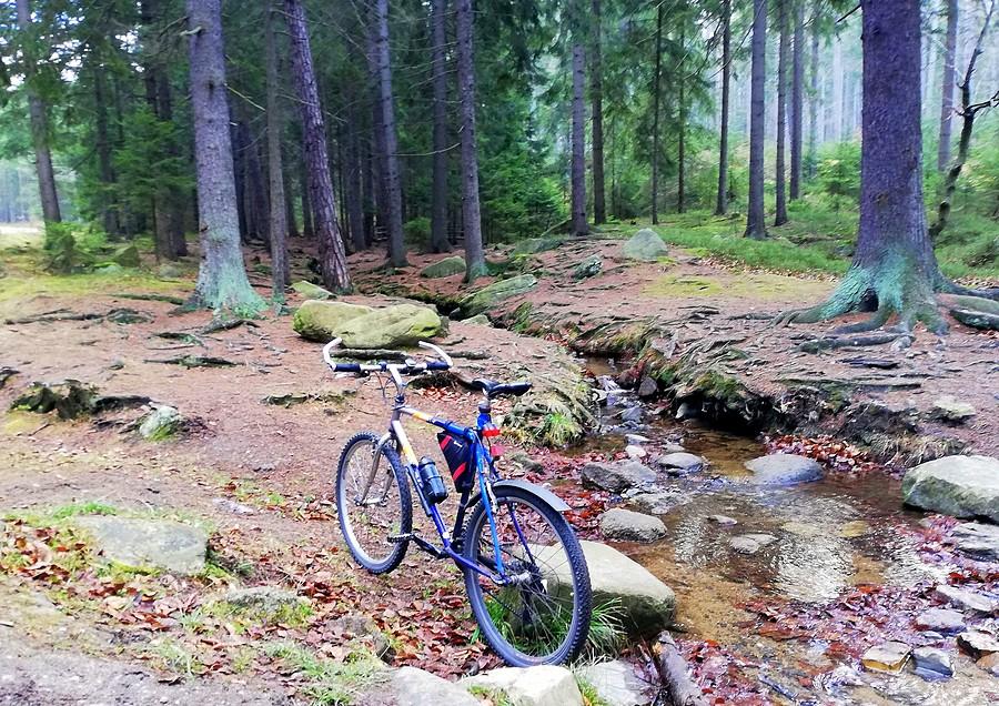 Strumykowo, Janowice Wielkie