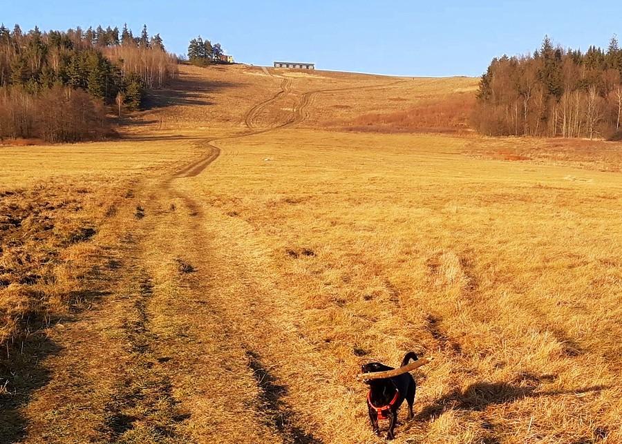 Patyczki muszą być - Góra Szybowcowa