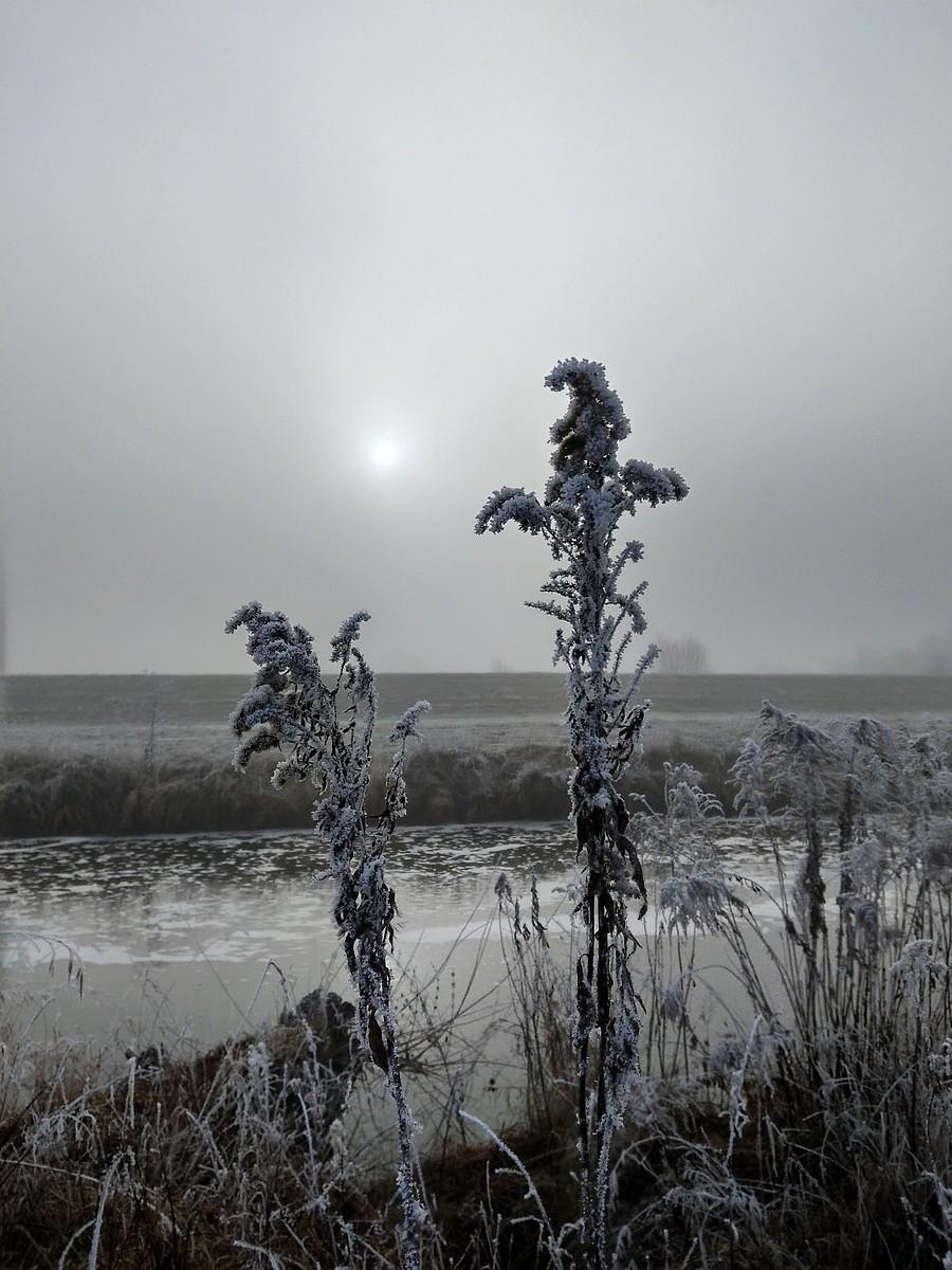 Nad Wartą
