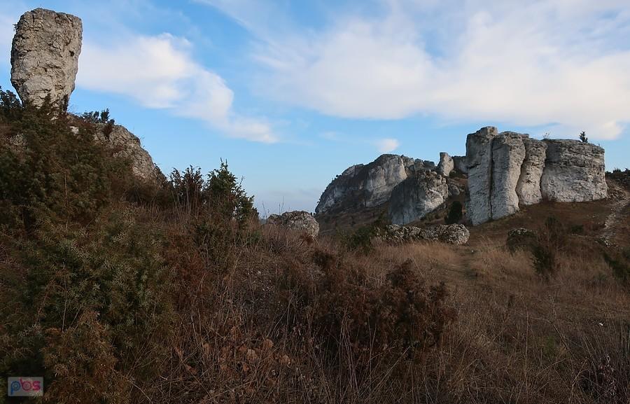 Olsztyńskie Lipówki