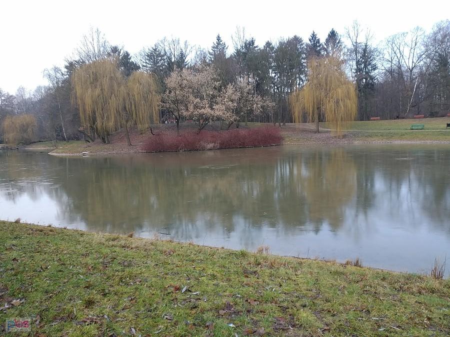 Zdrowie staw nr 3
