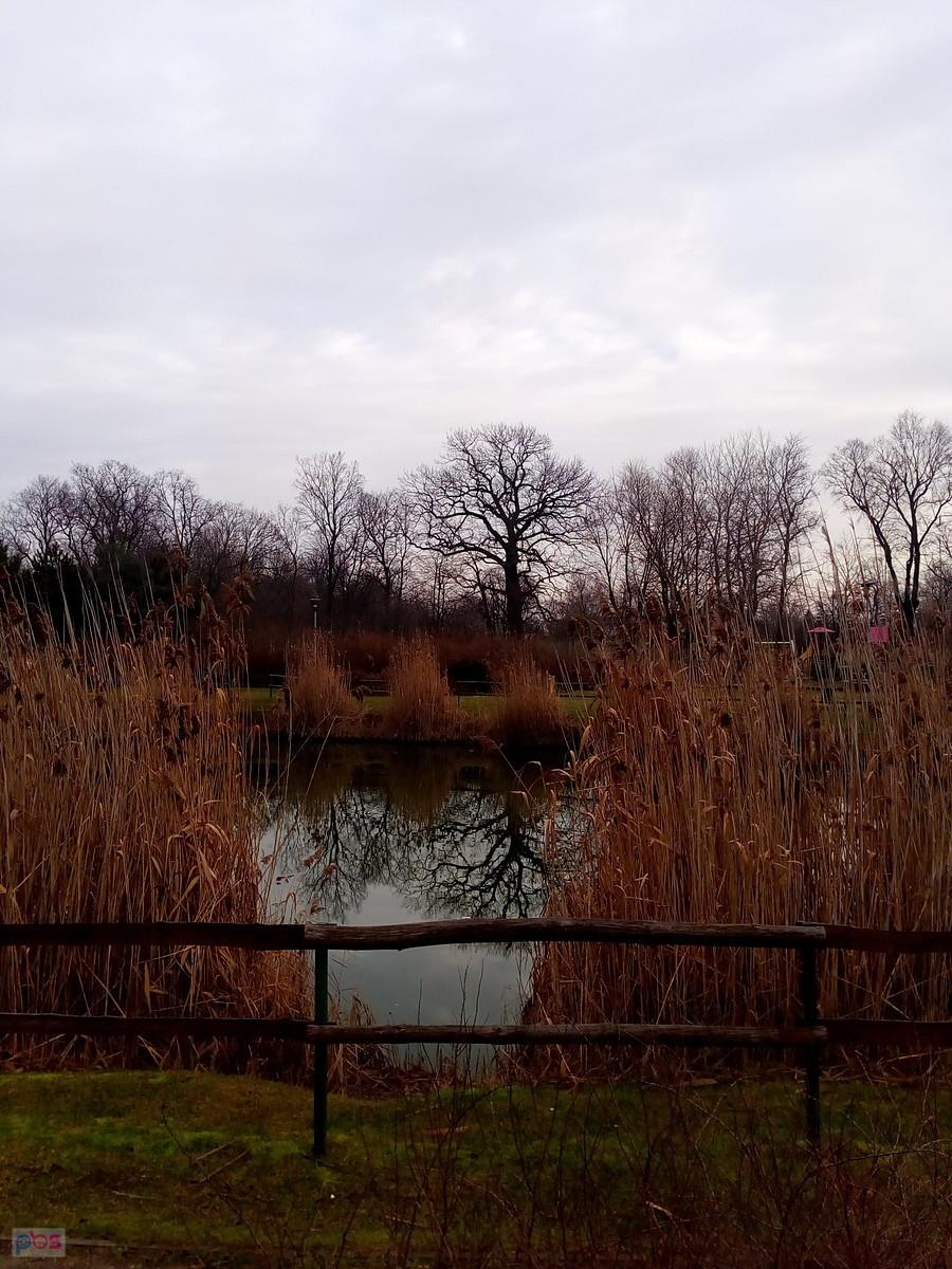 I staw w Borzęcinie