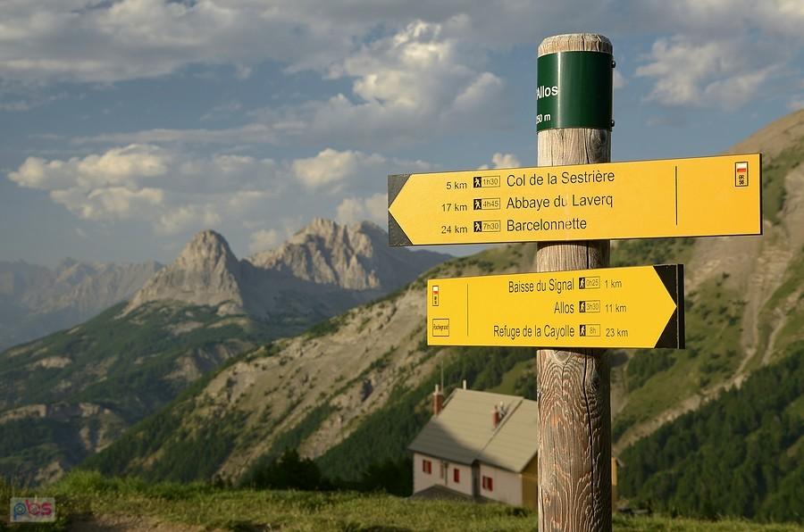 Col d'Allos