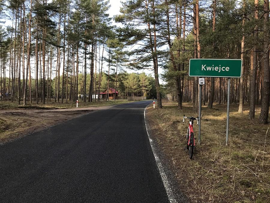 Kwiejce w Puszczy Noteckiej