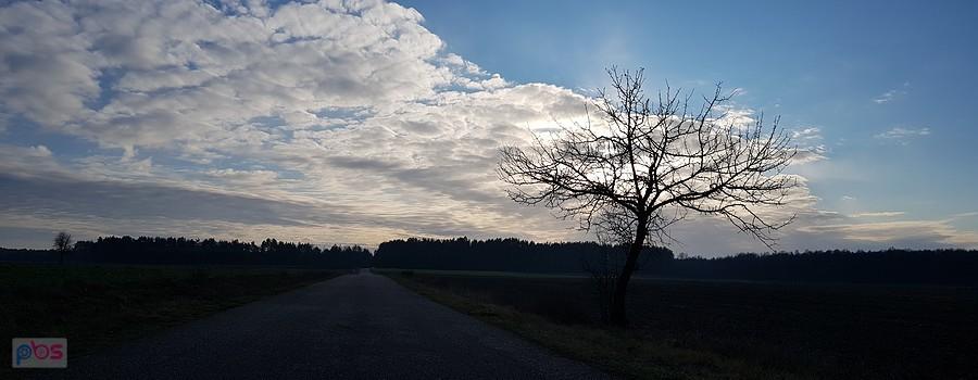 Gdzieś tam ....
