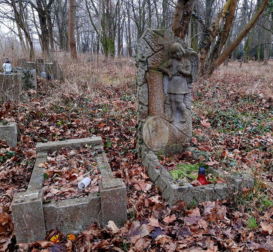 Dziecęcy grób - stary cmentarz na Dębcu, Poznań