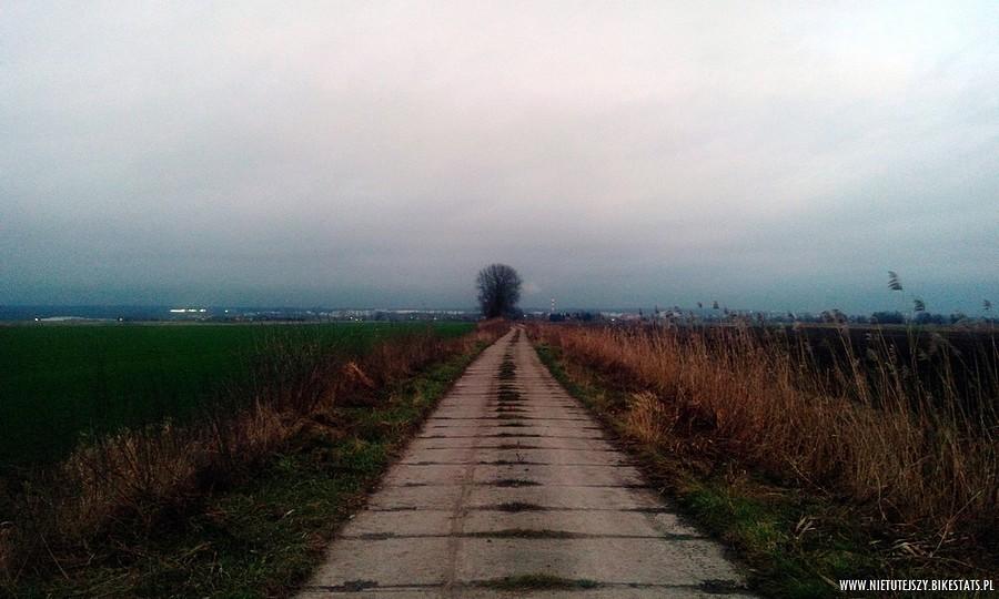 W okolicach Elbląga