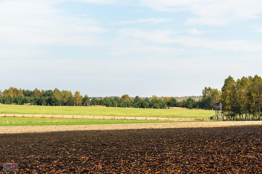 Pola w miejscowości Bieżeń