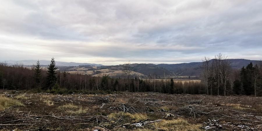 Mokro i wilgotno