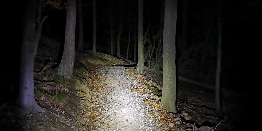 Singielek o nocnej porze