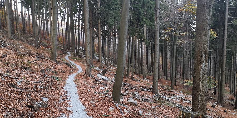 Ostatni singielek w stronę Lądka
