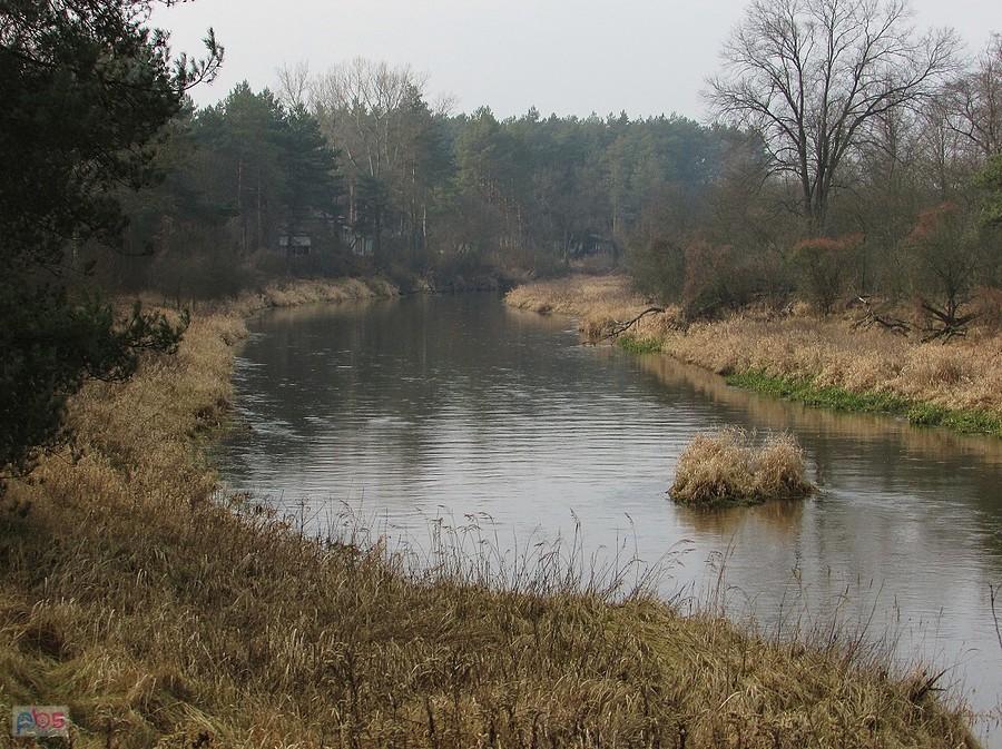 Radomka pod Ryczywołem