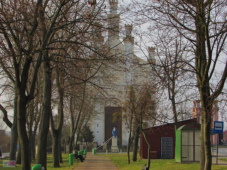 Brzóza - aleja prowadząca do kościoła św. Bartłomieja