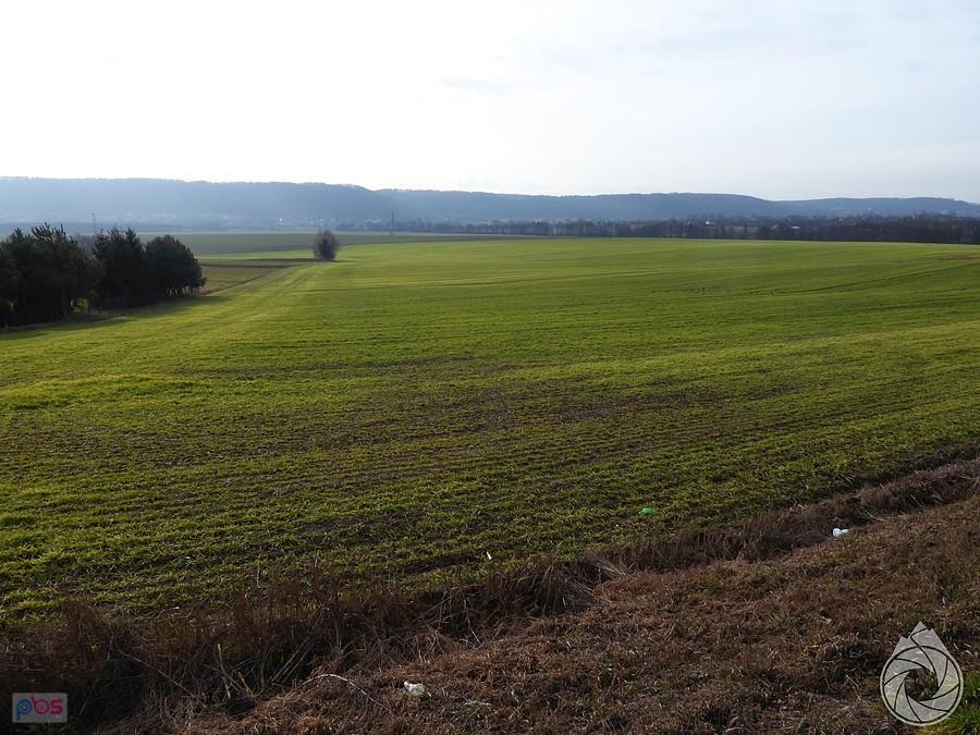 nie tak powinna wyglądać zima pod koniec stycznia (pod Garbem Tenczyńskim)