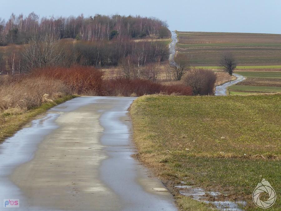 zabłocona droga śródpolna do Sułoszowej