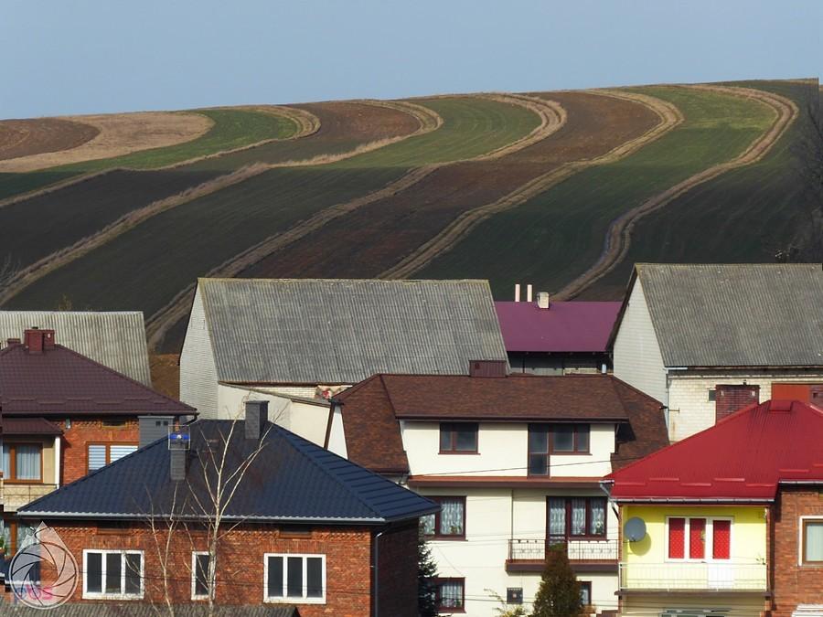 dwukolorowe pola nad Sułoszową