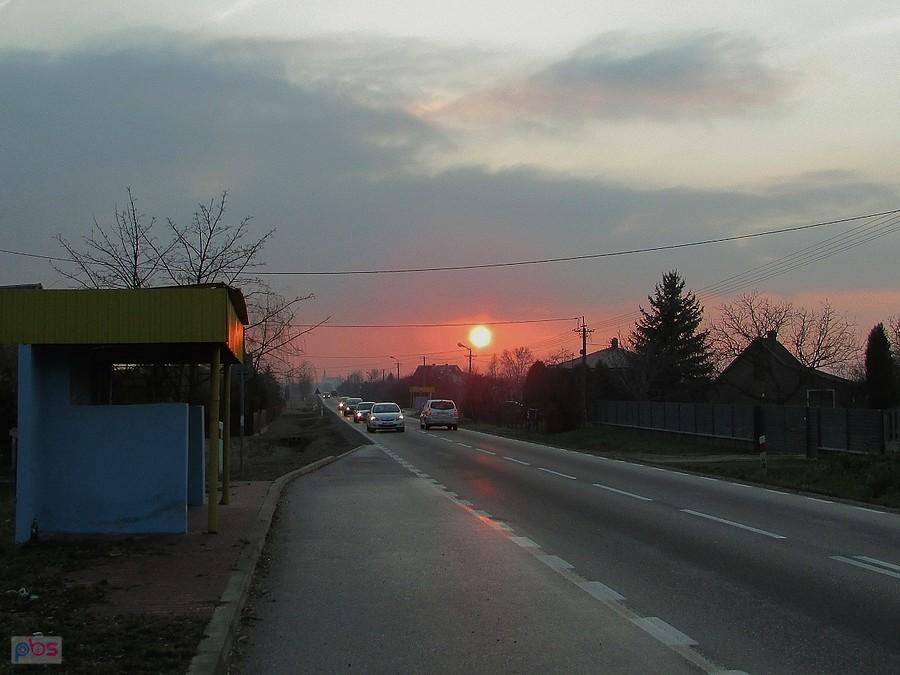 Jedlnia-Kolonia