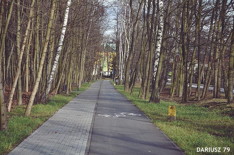 Dąbrowa Górnicza - Ząbkowice - Ulica Armi Krajowej (Park Brzozowy)