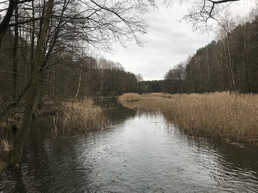 rzeka Miała