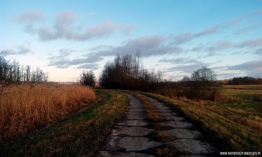 Bez tytułu