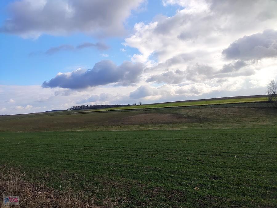 Zielone pole niedaleko Lublina