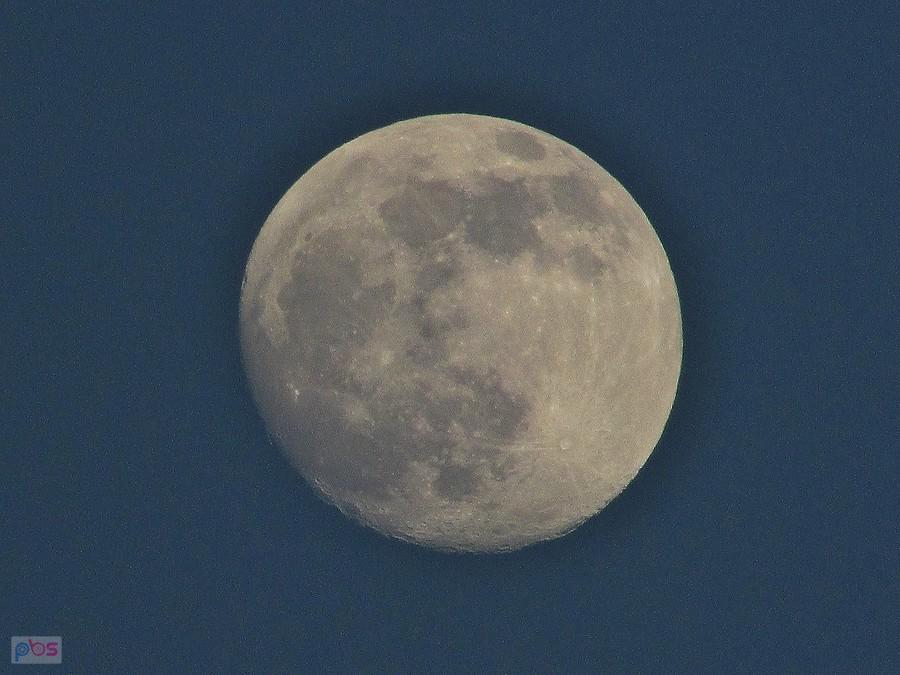 Księżyc nad Wolą świecił wczoraj jak reflektor