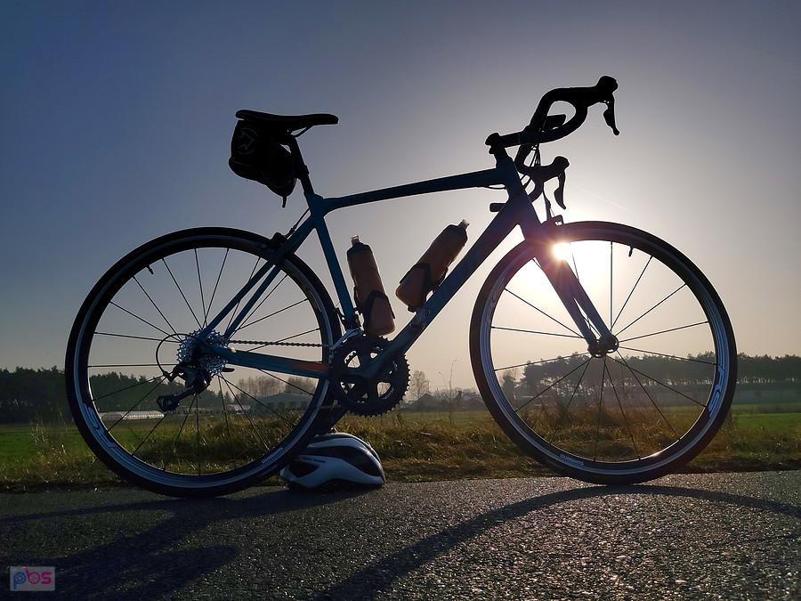 Giant Contend SL