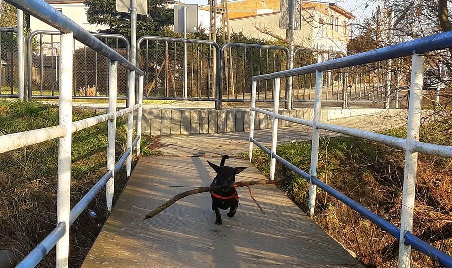 Prawie jak na linie