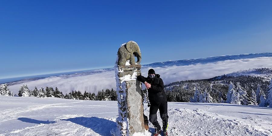 Słonik na Śnieżniku