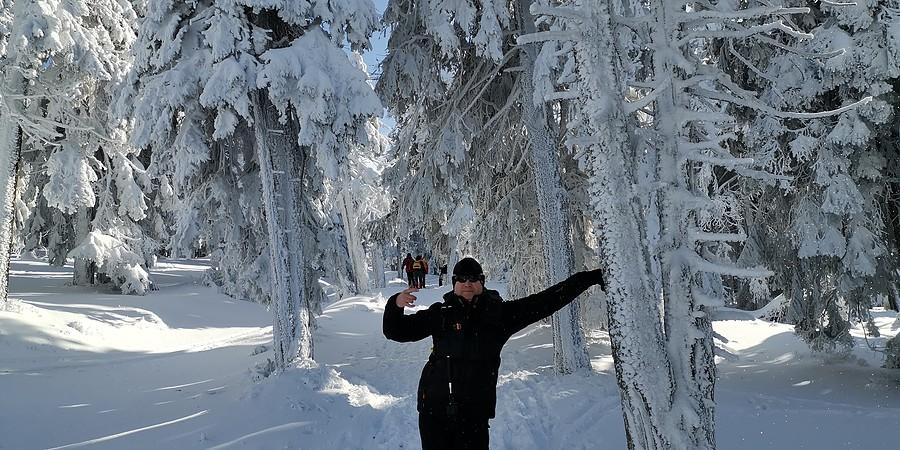 Śnieżno biało jest pięknie