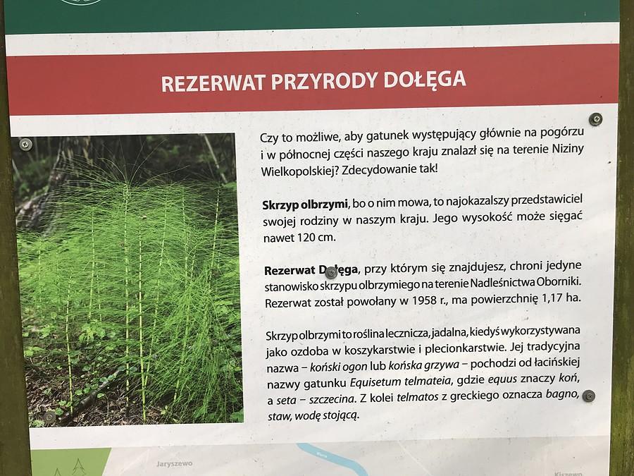 kilka informacji do poczytania