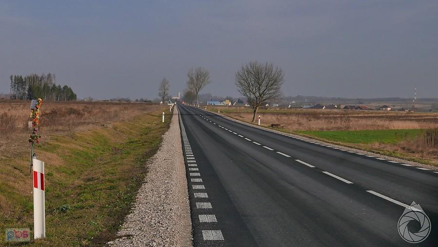 w oddali zamek iłżecki