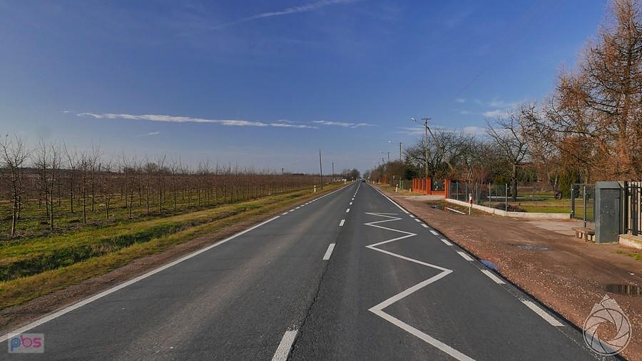 wjeżdżam w plantacje nad Pilicą