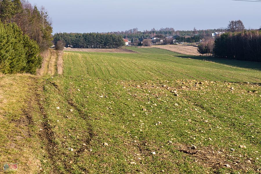 Widok na pola w Zrębicach