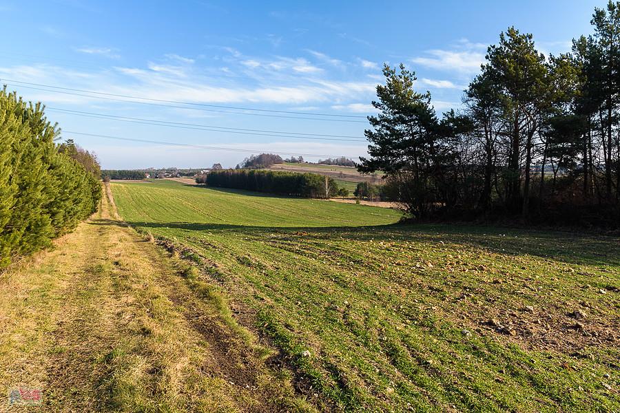 Widok na pola w Zrębicach spod skałek Św. idziego