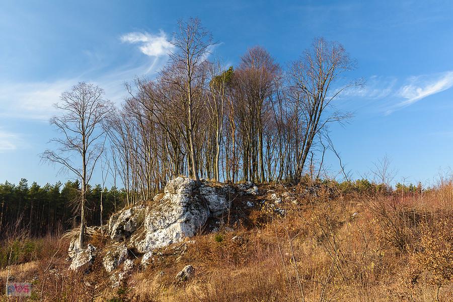 Kolejne skałki Świętego Idziego w Zrębicach