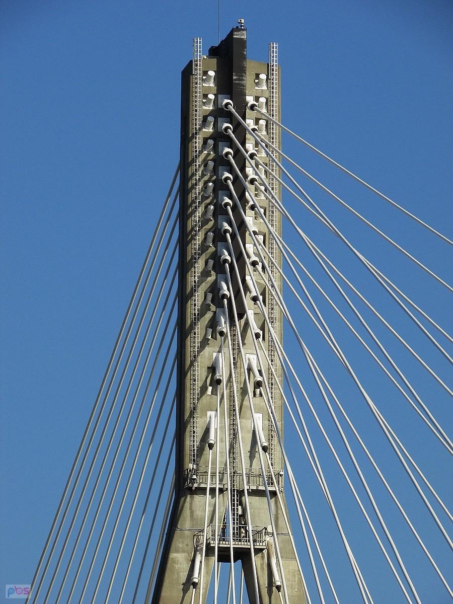 Pylon Mostu Świętokrzyskiego