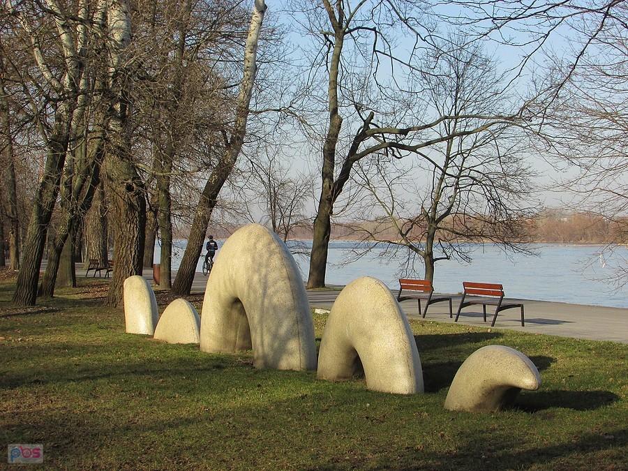 Węgorz nad Wisłą