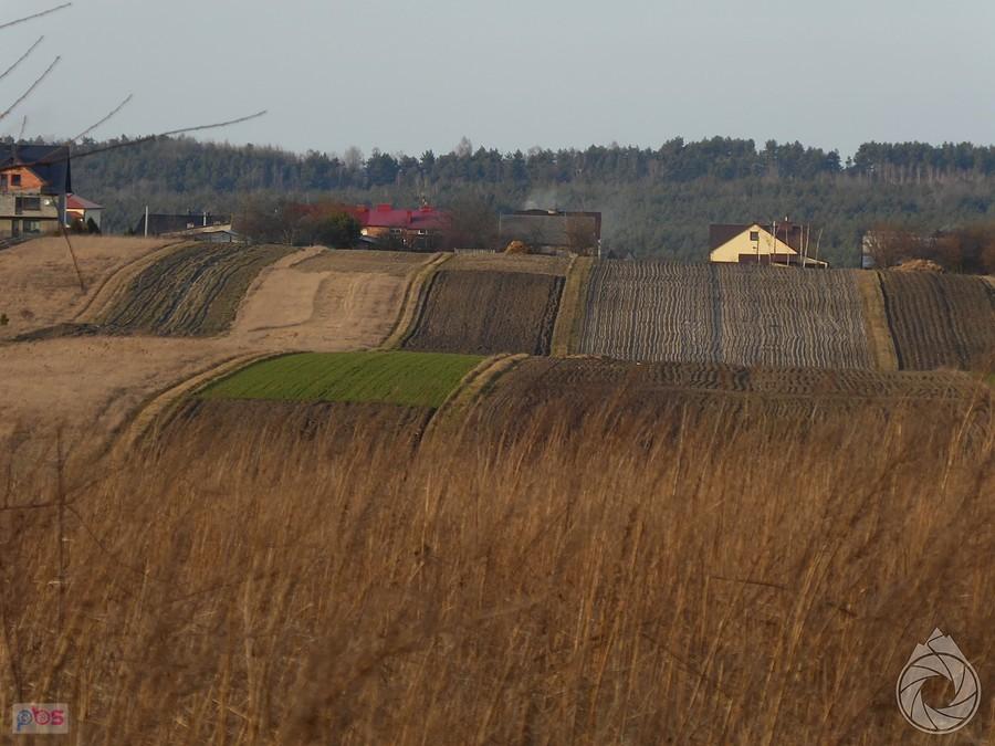 pola sułoszowskie znad Zadola Kosmolowskiego