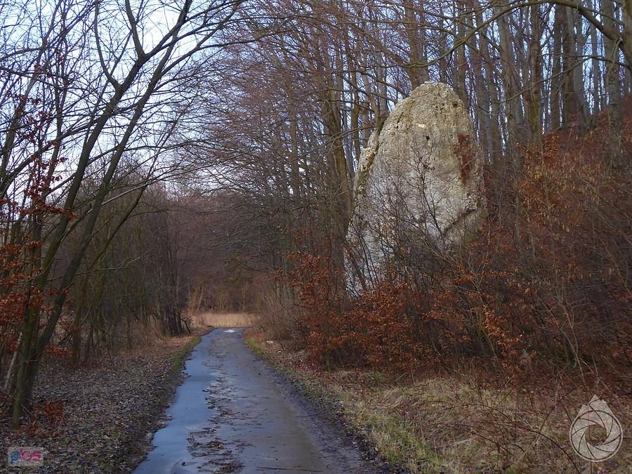 zabłocona droga donikąd