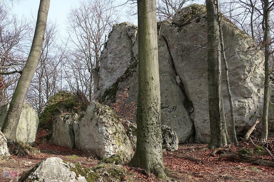 Skałki na Pustelnicy