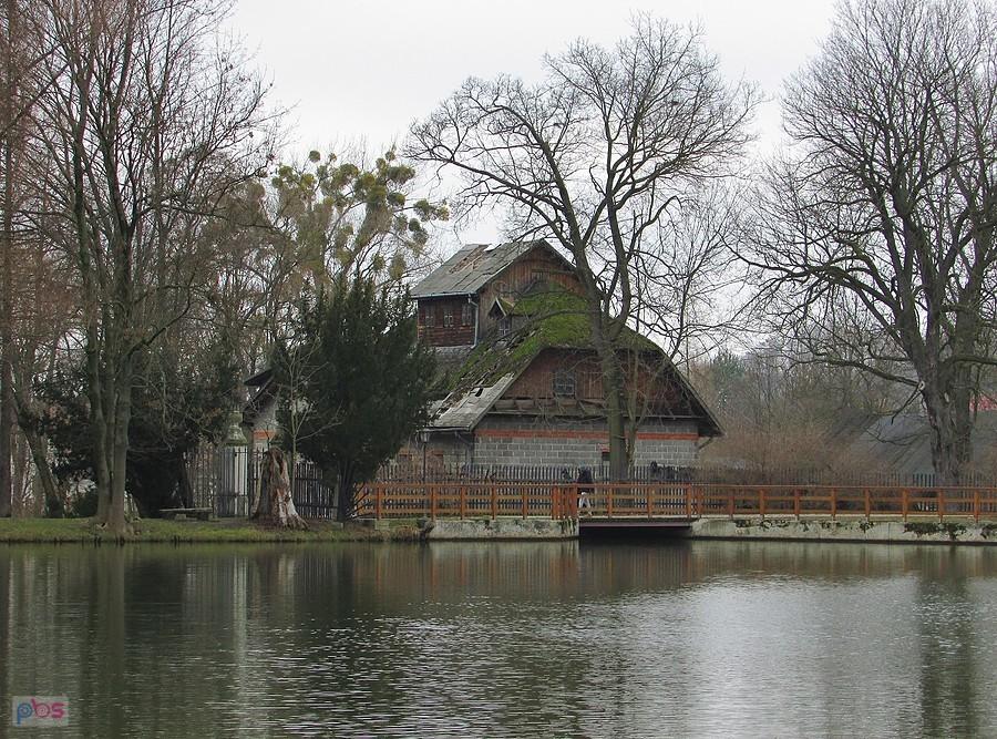 Radziejowice - młyn